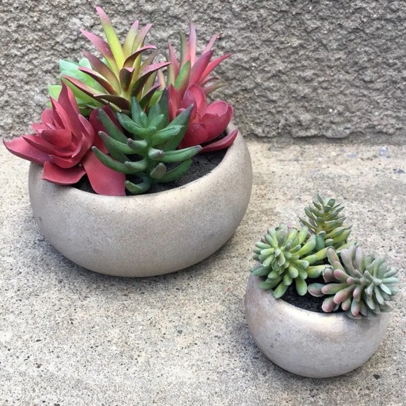 Other - 🏠 Artificial Succulent Plants